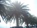 DSCN0708