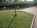 DSCN0782