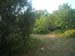 DSCN0819