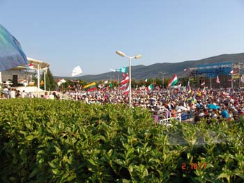 DSC00736