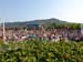 DSC00737