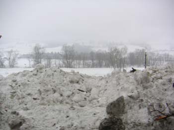 PICT0894