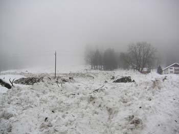 PICT0895